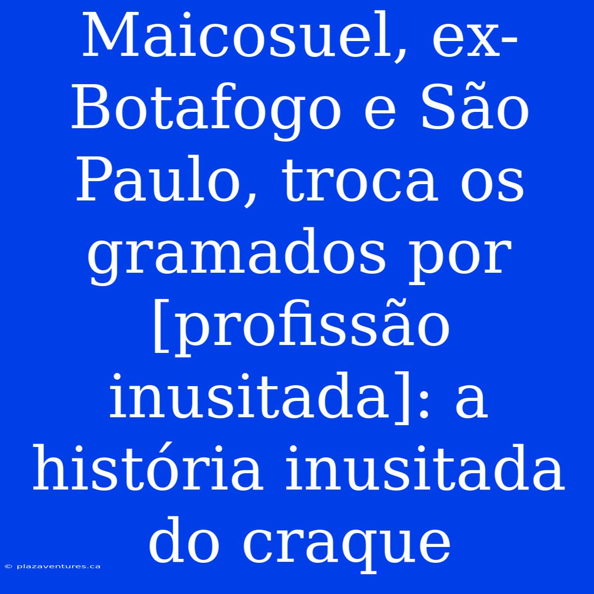 Maicosuel, Ex-Botafogo E São Paulo, Troca Os Gramados Por [profissão Inusitada]: A História Inusitada Do Craque