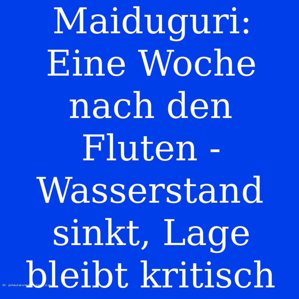 Maiduguri: Eine Woche Nach Den Fluten - Wasserstand Sinkt, Lage Bleibt Kritisch