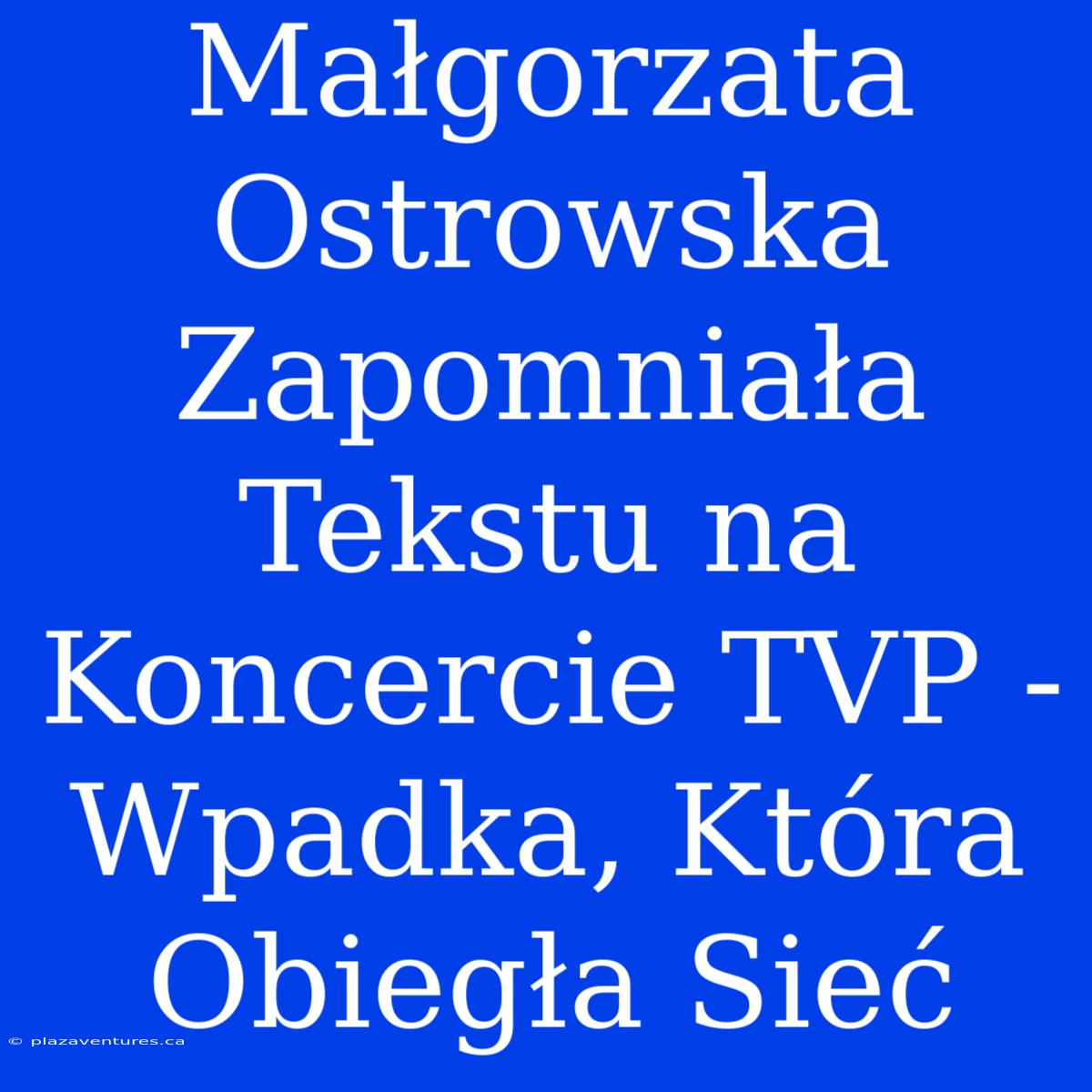 Małgorzata Ostrowska Zapomniała Tekstu Na Koncercie TVP - Wpadka, Która Obiegła Sieć