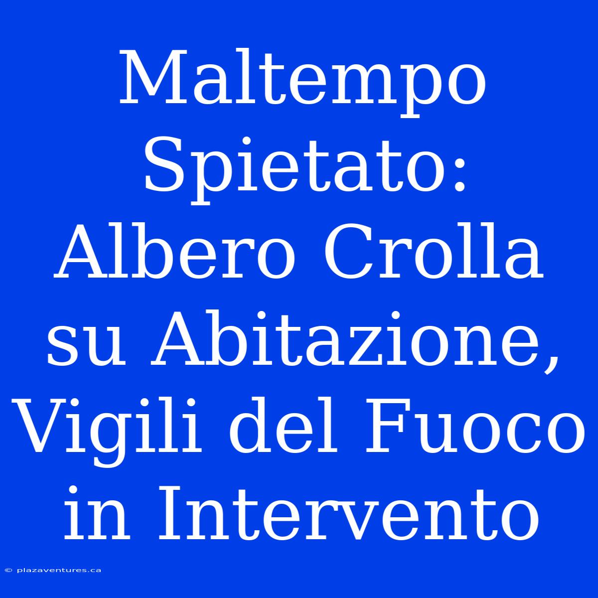 Maltempo Spietato: Albero Crolla Su Abitazione, Vigili Del Fuoco In Intervento