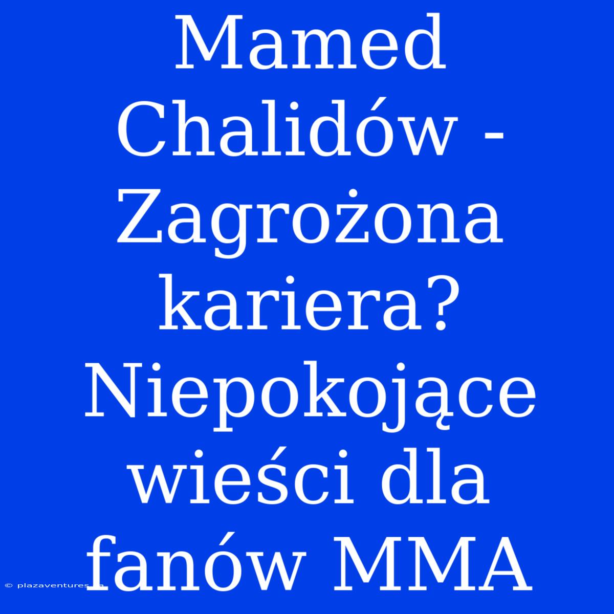 Mamed Chalidów - Zagrożona Kariera? Niepokojące Wieści Dla Fanów MMA