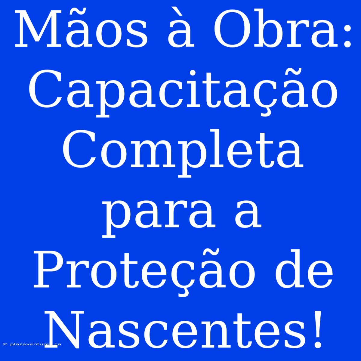 Mãos À Obra: Capacitação Completa Para A Proteção De Nascentes!