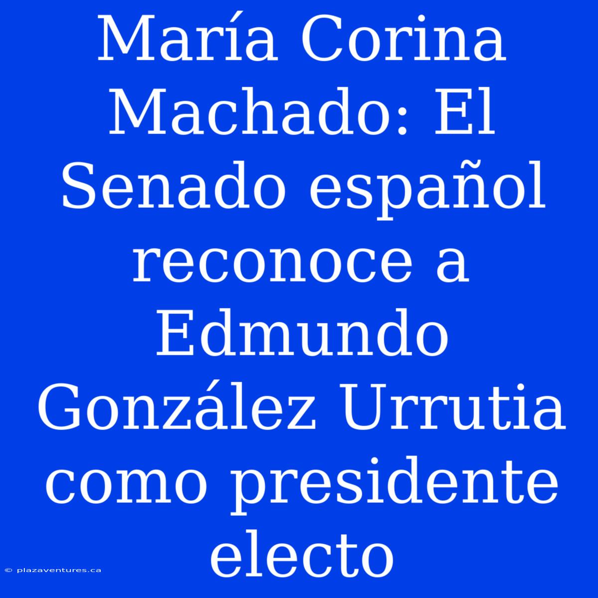 María Corina Machado: El Senado Español Reconoce A Edmundo González Urrutia Como Presidente Electo