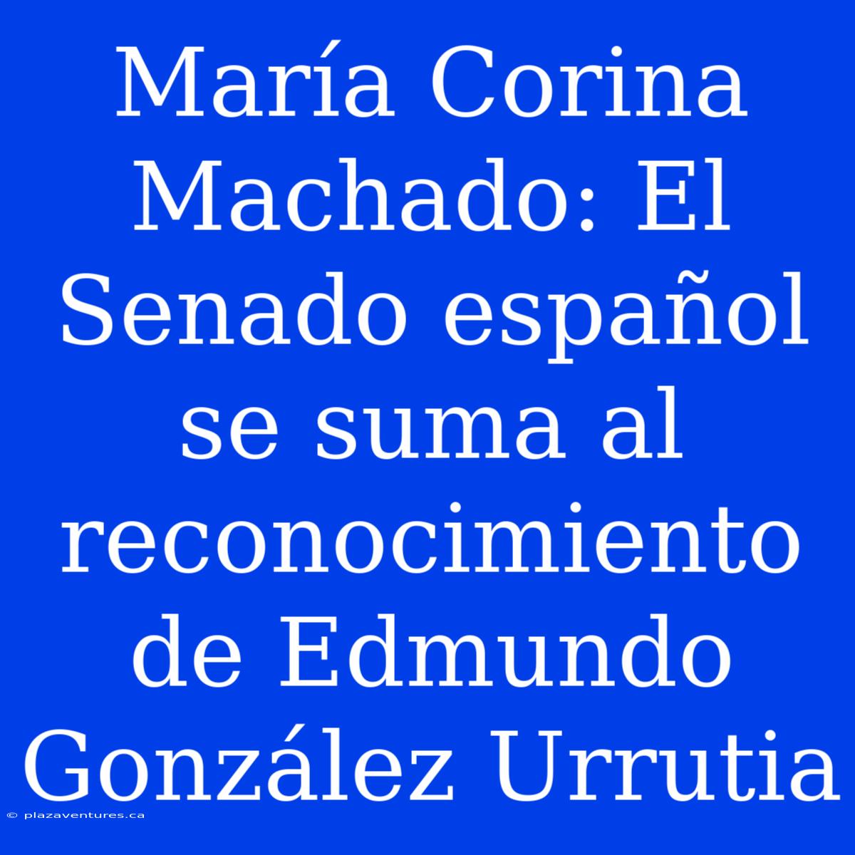 María Corina Machado: El Senado Español Se Suma Al Reconocimiento De Edmundo González Urrutia