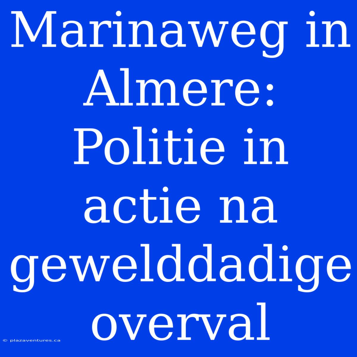 Marinaweg In Almere: Politie In Actie Na Gewelddadige Overval