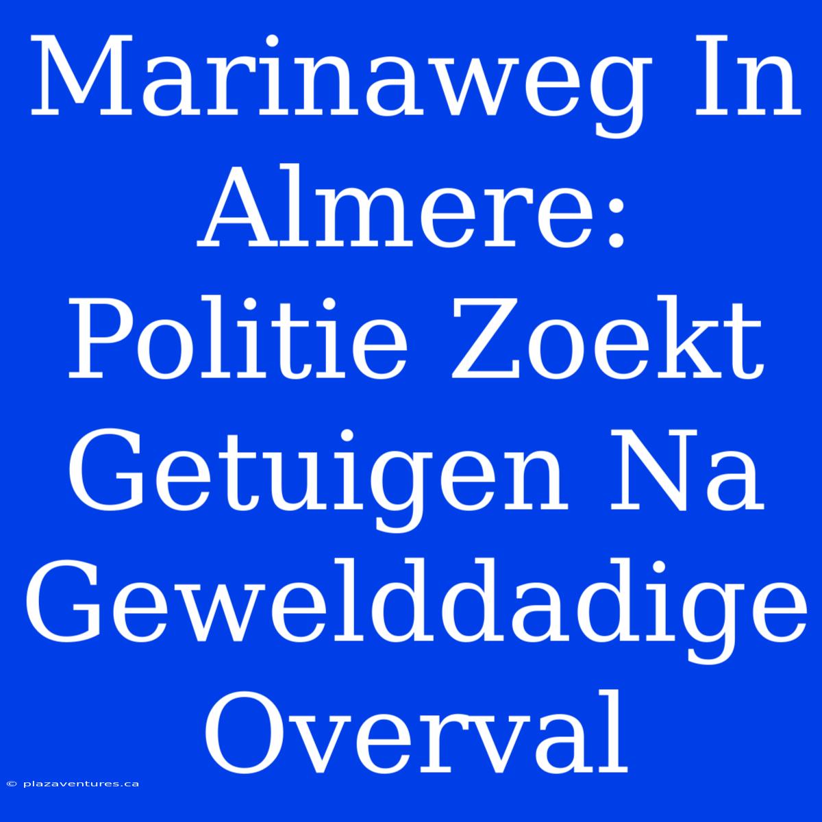 Marinaweg In Almere: Politie Zoekt Getuigen Na Gewelddadige Overval