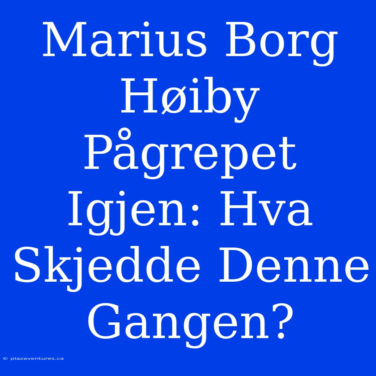 Marius Borg Høiby Pågrepet Igjen: Hva Skjedde Denne Gangen?