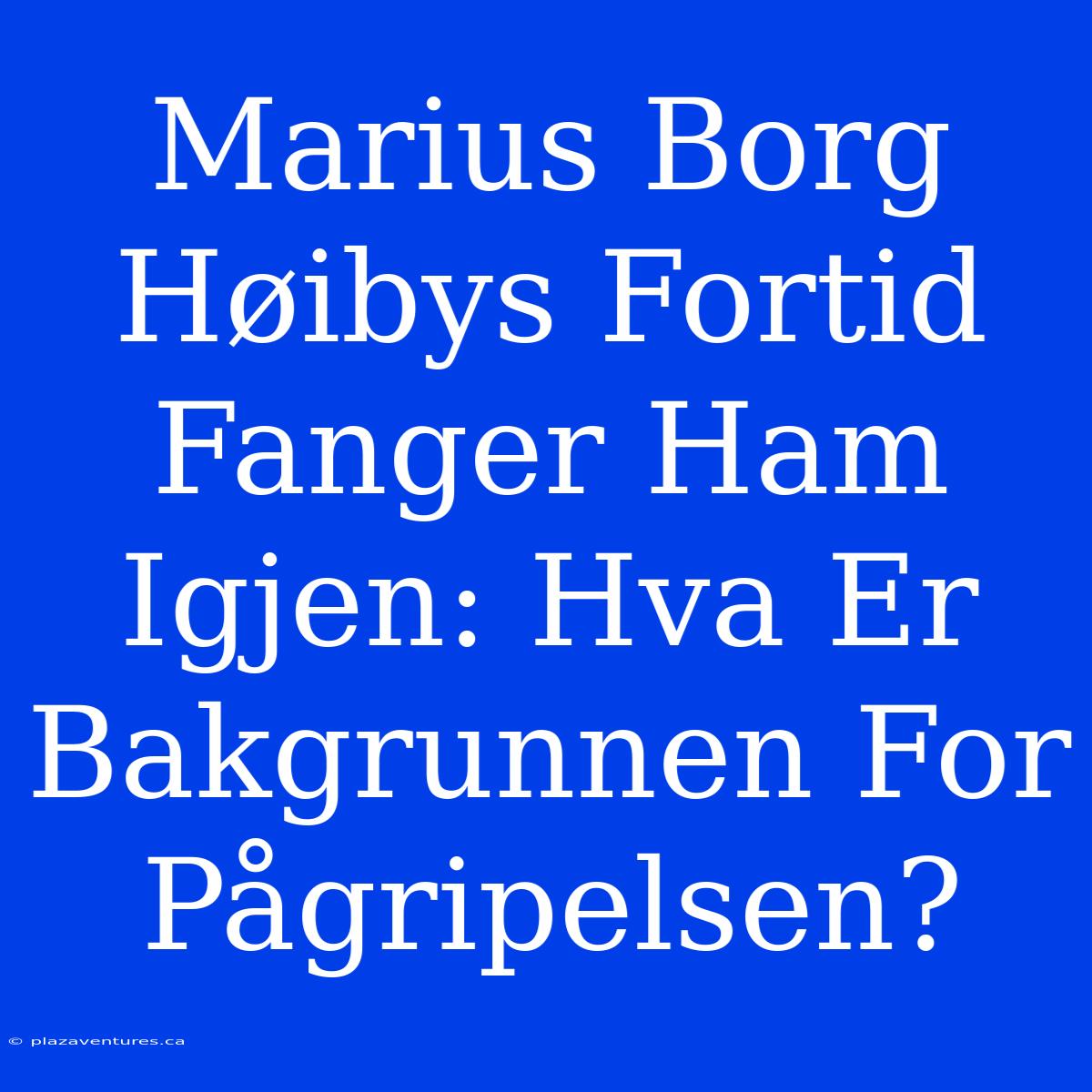 Marius Borg Høibys Fortid Fanger Ham Igjen: Hva Er Bakgrunnen For Pågripelsen?