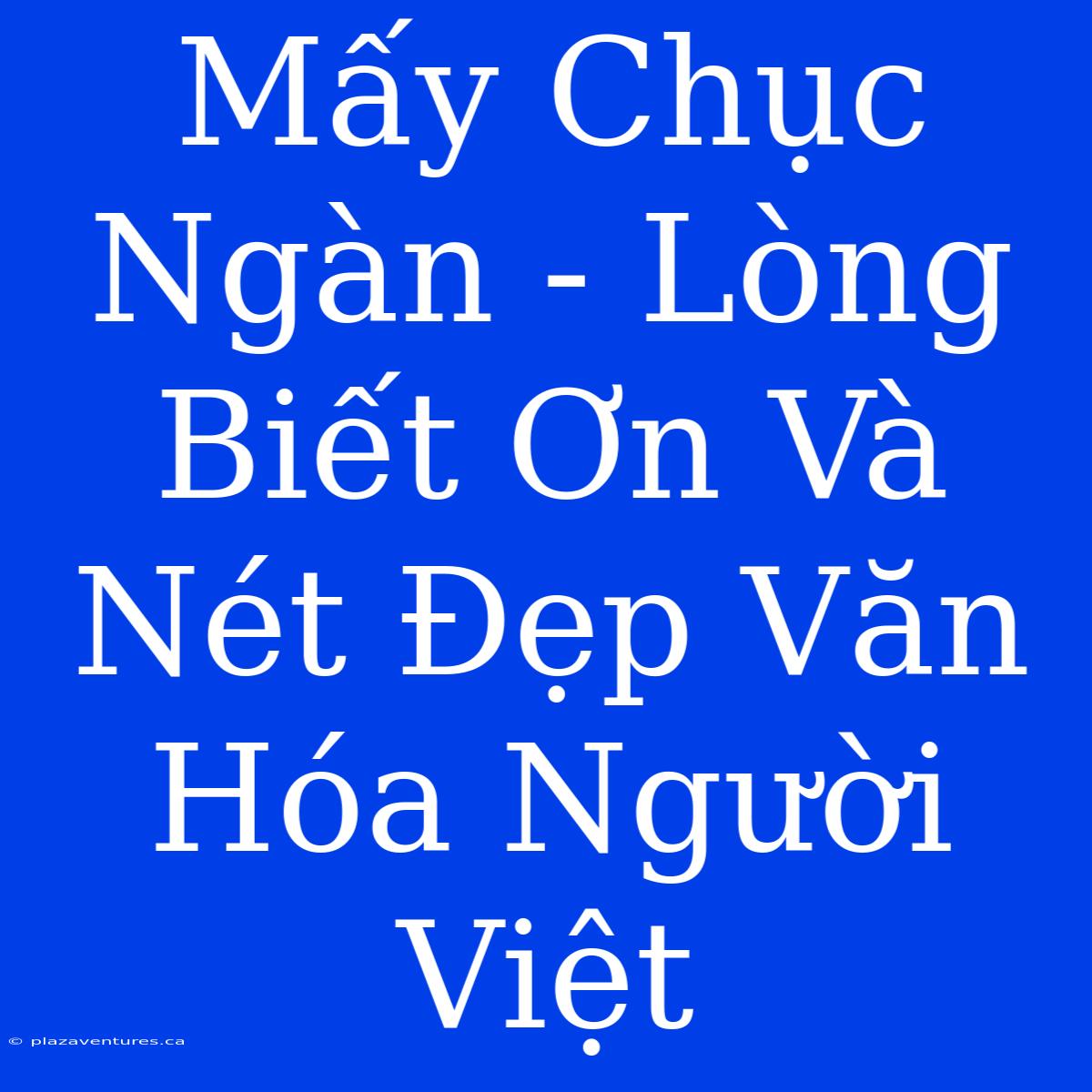 Mấy Chục Ngàn - Lòng Biết Ơn Và Nét Đẹp Văn Hóa Người Việt