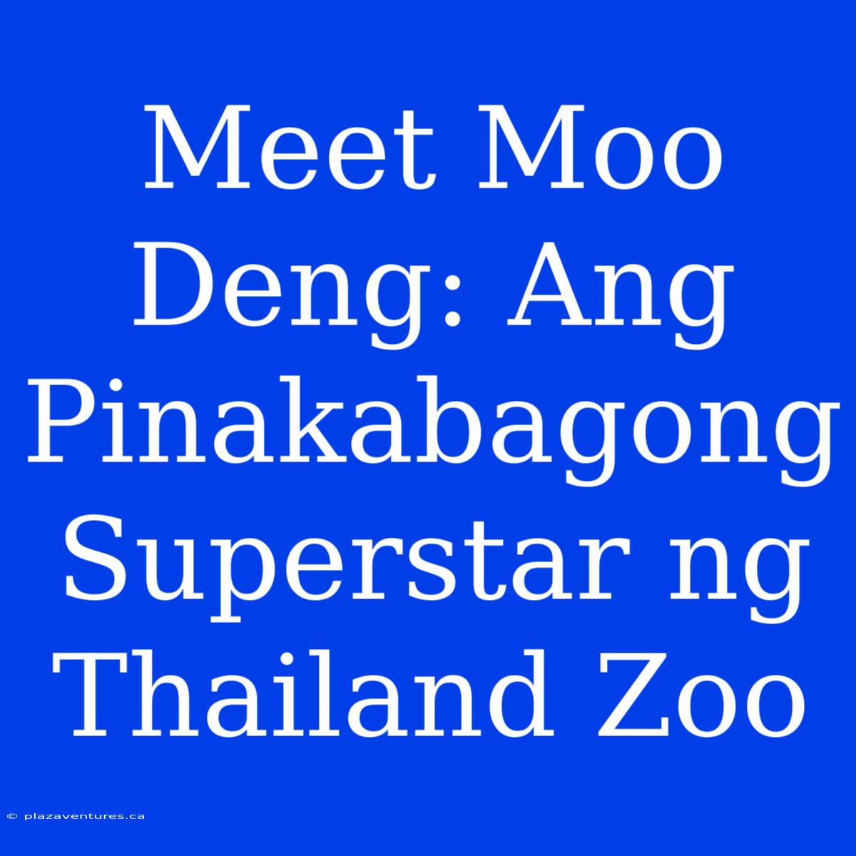 Meet Moo Deng: Ang Pinakabagong Superstar Ng Thailand Zoo