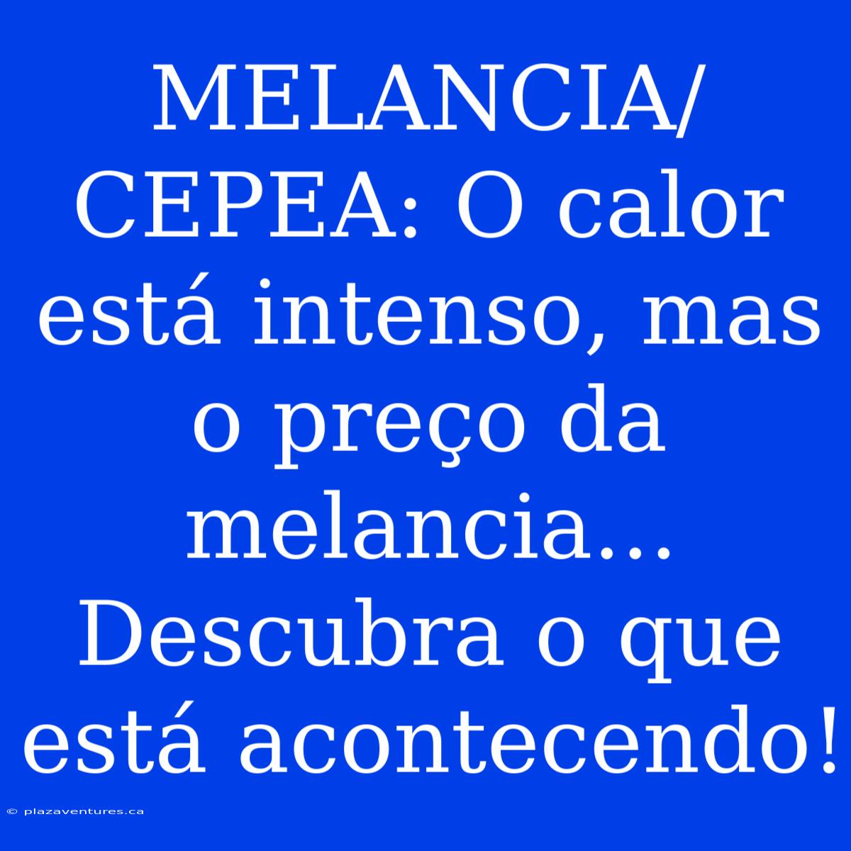 MELANCIA/CEPEA: O Calor Está Intenso, Mas O Preço Da Melancia... Descubra O Que Está Acontecendo!