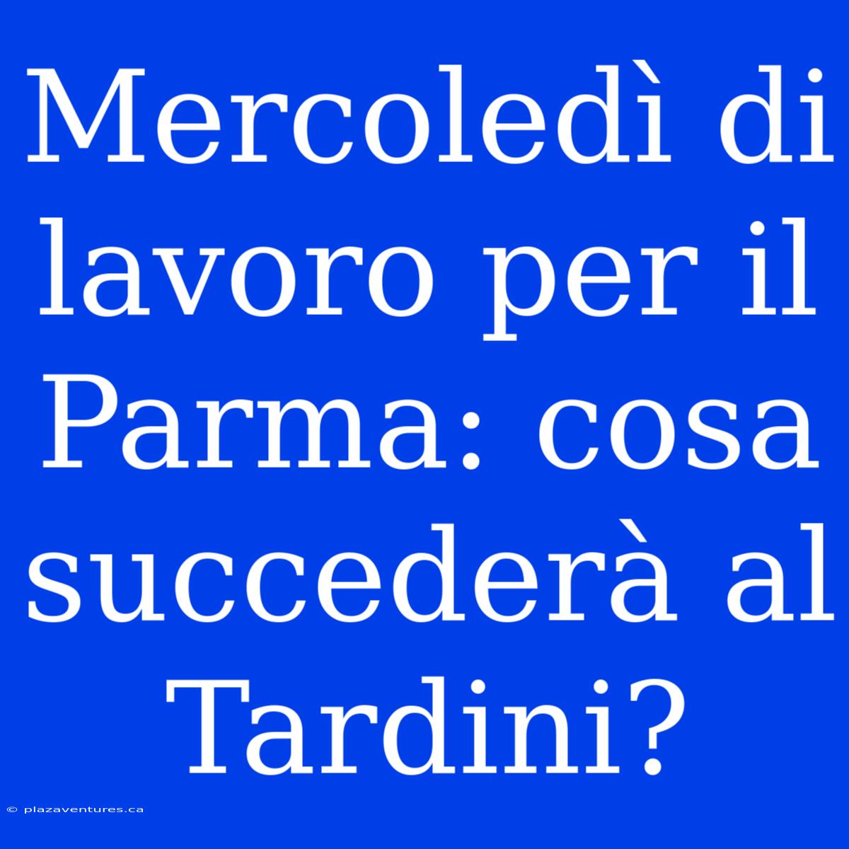 Mercoledì Di Lavoro Per Il Parma: Cosa Succederà Al Tardini?