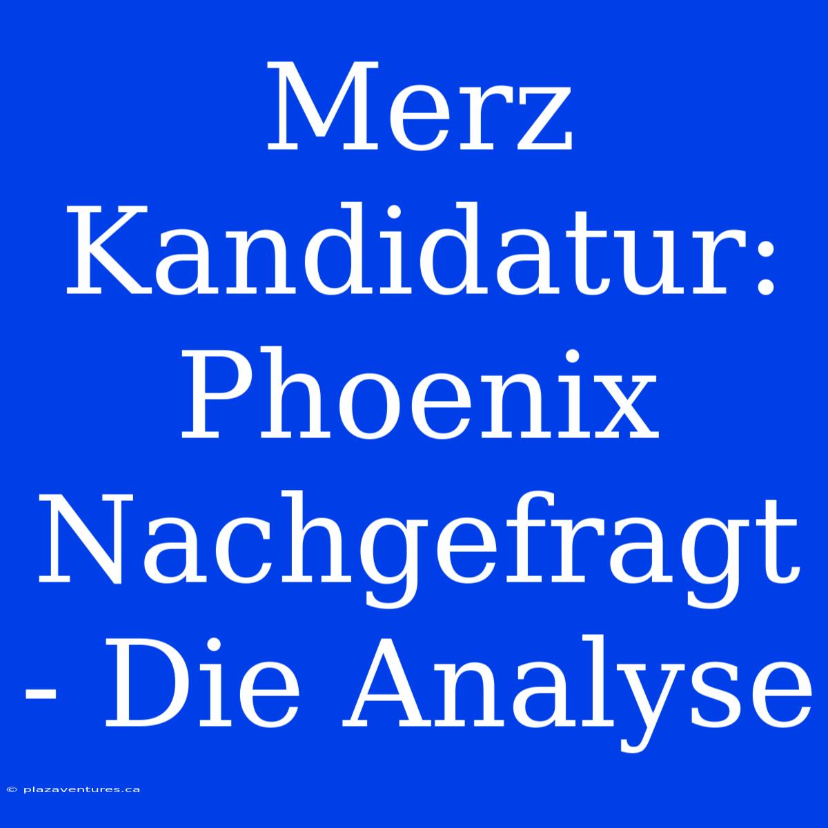 Merz Kandidatur: Phoenix Nachgefragt - Die Analyse