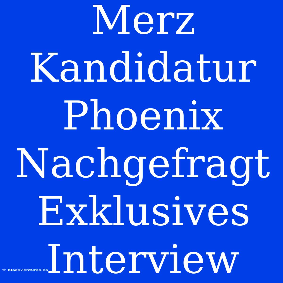 Merz Kandidatur Phoenix Nachgefragt Exklusives Interview