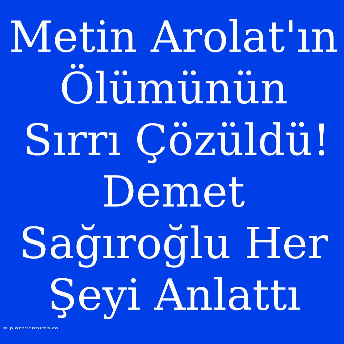 Metin Arolat'ın Ölümünün Sırrı Çözüldü! Demet Sağıroğlu Her Şeyi Anlattı