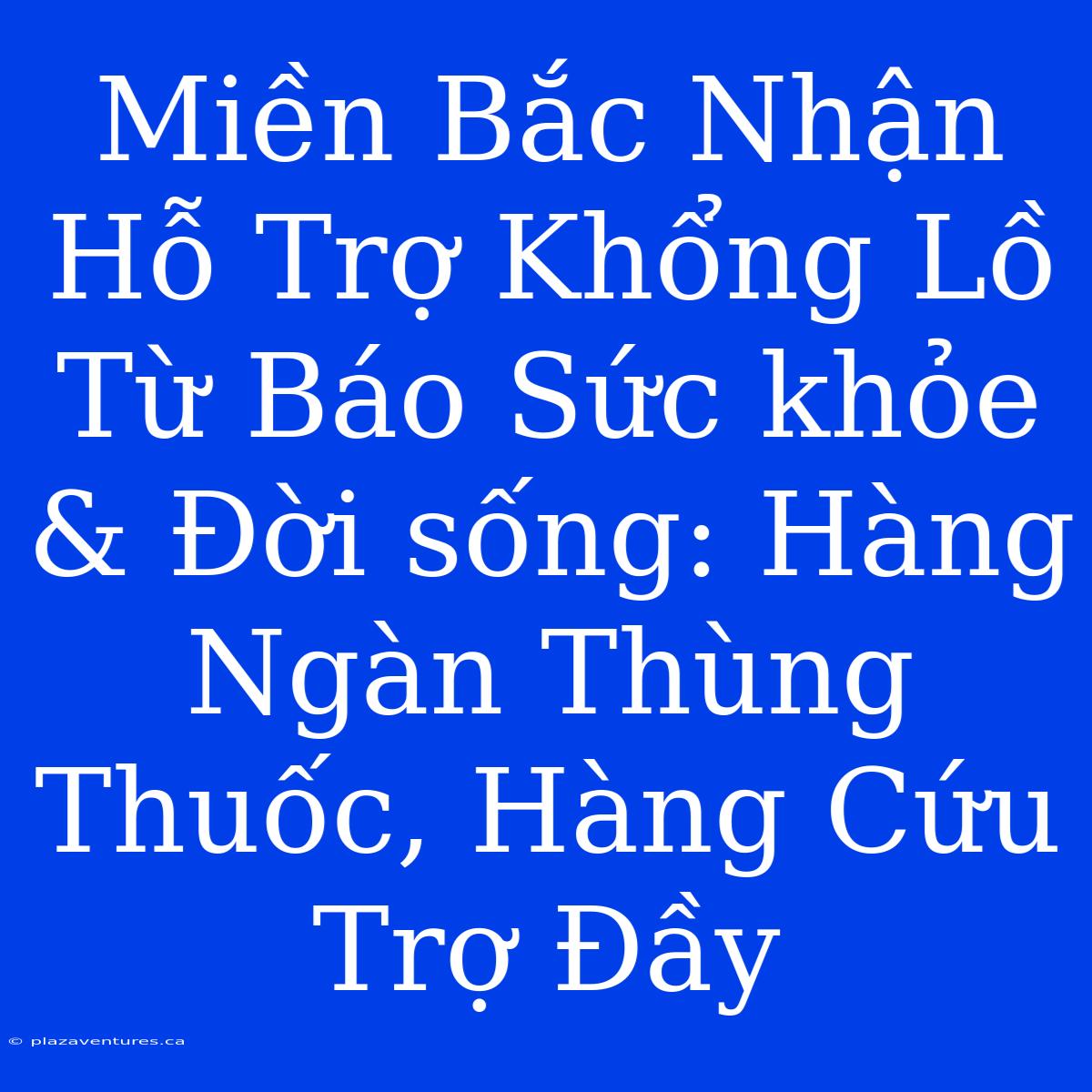 Miền Bắc Nhận Hỗ Trợ Khổng Lồ Từ Báo Sức Khỏe & Đời Sống: Hàng Ngàn Thùng Thuốc, Hàng Cứu Trợ Đầy