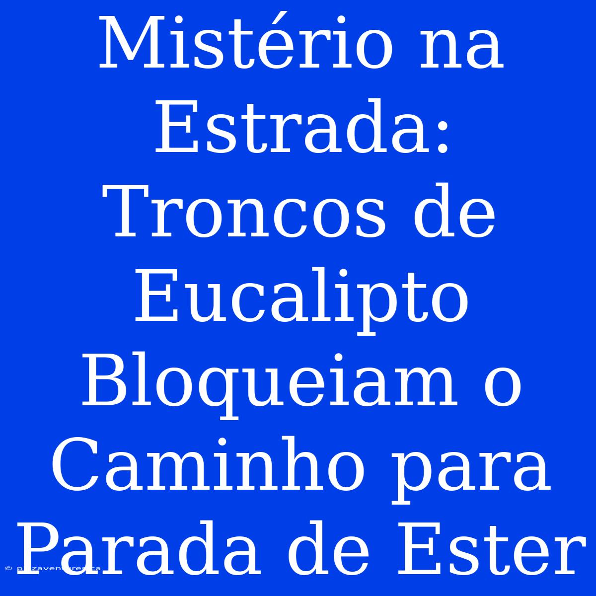 Mistério Na Estrada: Troncos De Eucalipto Bloqueiam O Caminho Para Parada De Ester