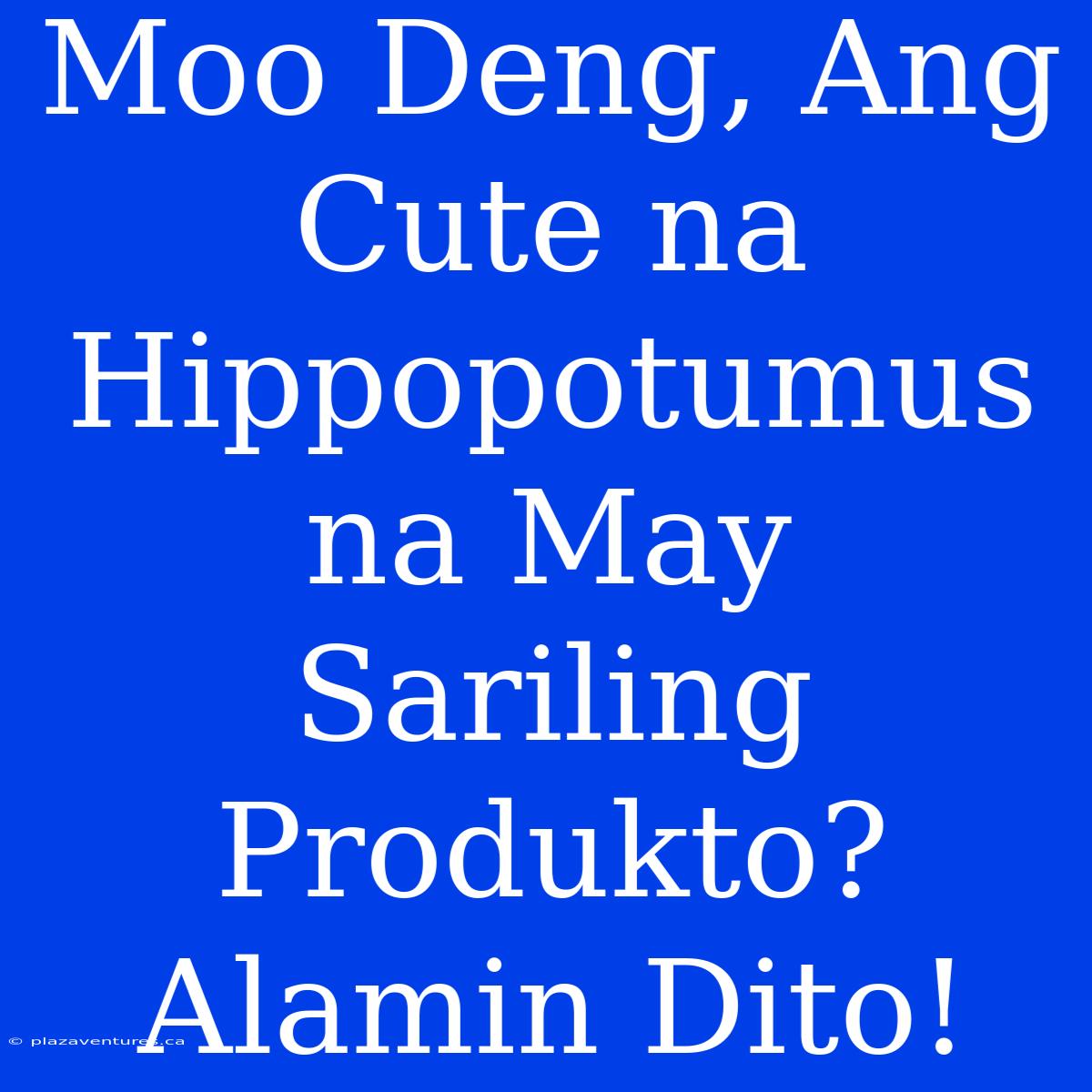 Moo Deng, Ang Cute Na Hippopotumus Na May Sariling Produkto? Alamin Dito!