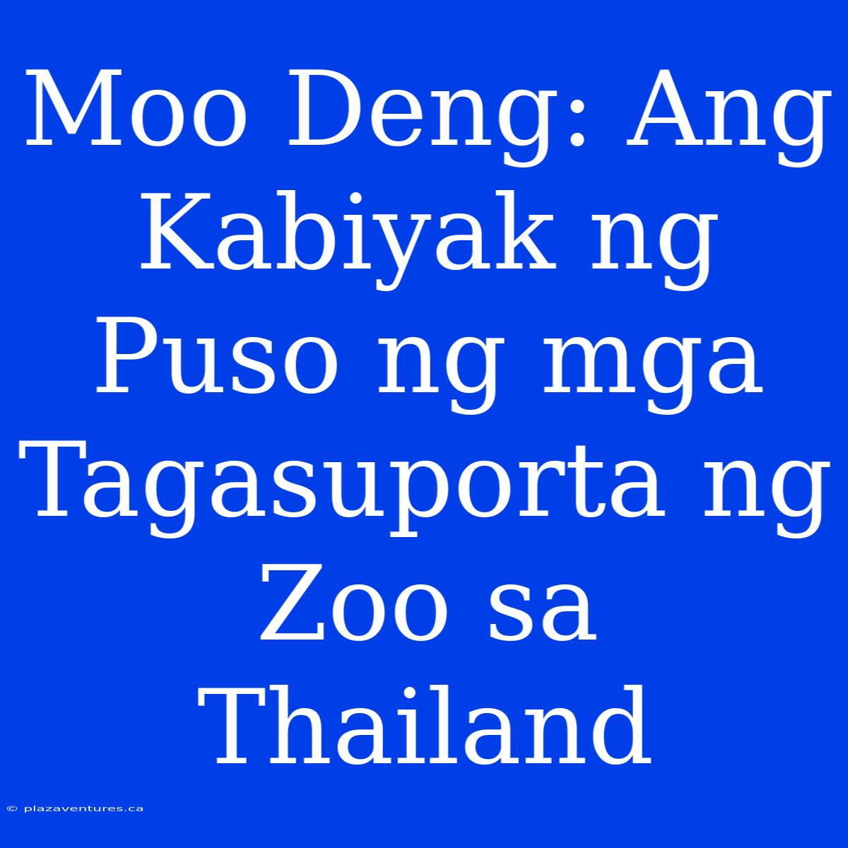 Moo Deng: Ang Kabiyak Ng Puso Ng Mga Tagasuporta Ng Zoo Sa Thailand