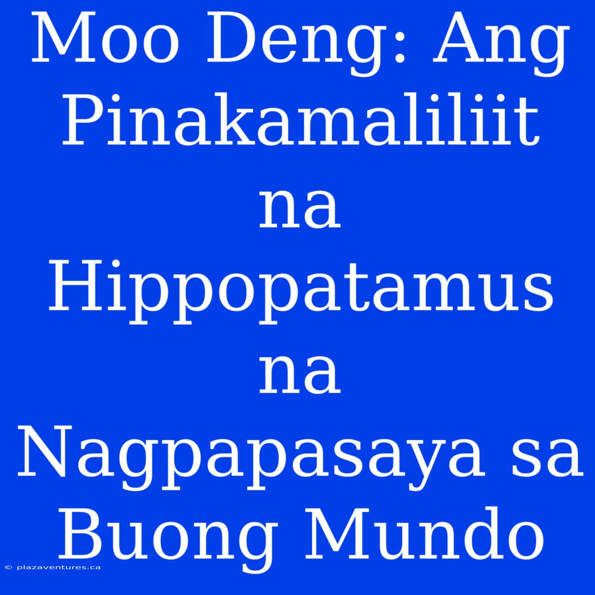 Moo Deng: Ang Pinakamaliliit Na Hippopatamus Na Nagpapasaya Sa Buong Mundo