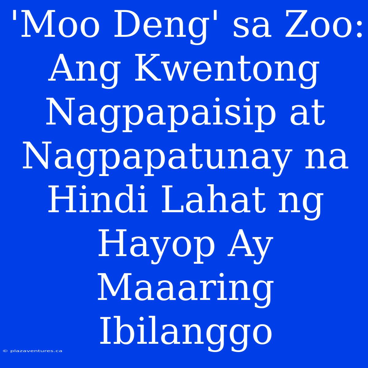 'Moo Deng' Sa Zoo: Ang Kwentong Nagpapaisip At Nagpapatunay Na Hindi Lahat Ng Hayop Ay Maaaring Ibilanggo