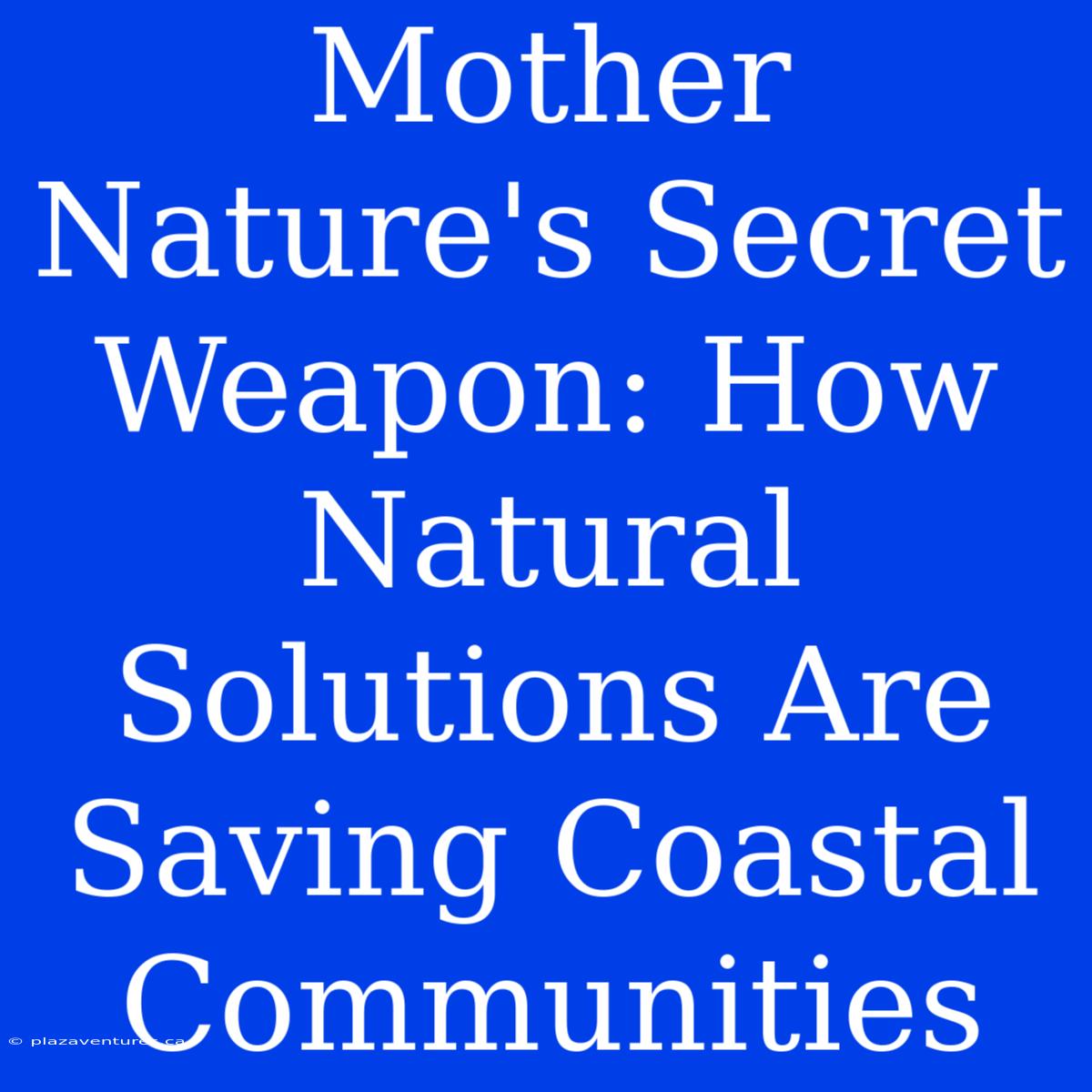 Mother Nature's Secret Weapon: How Natural Solutions Are Saving Coastal Communities