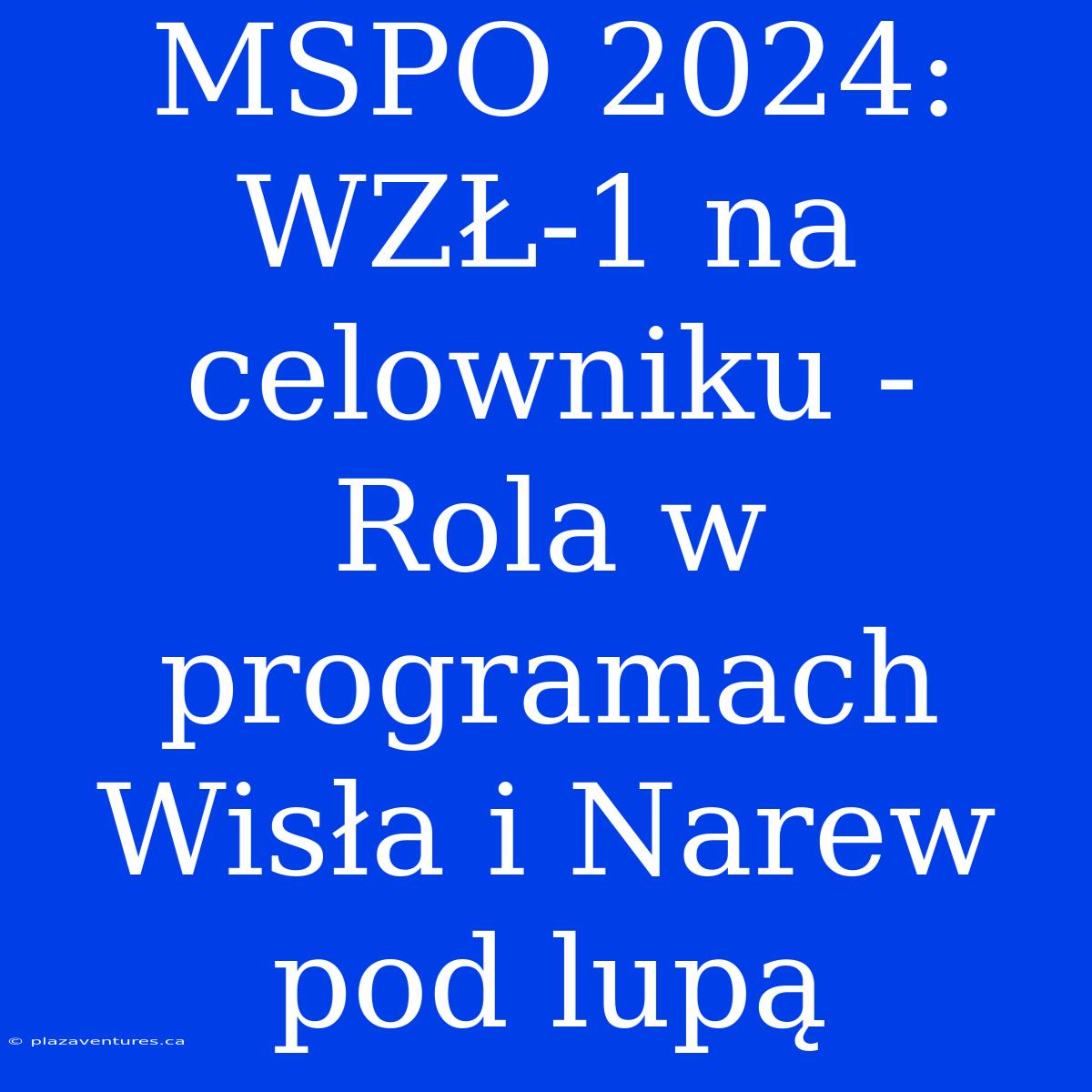 MSPO 2024: WZŁ-1 Na Celowniku - Rola W Programach Wisła I Narew Pod Lupą