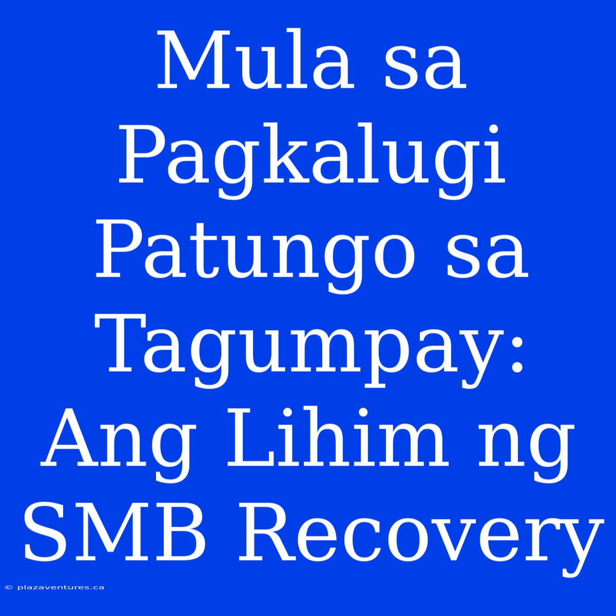 Mula Sa Pagkalugi Patungo Sa Tagumpay: Ang Lihim Ng SMB Recovery