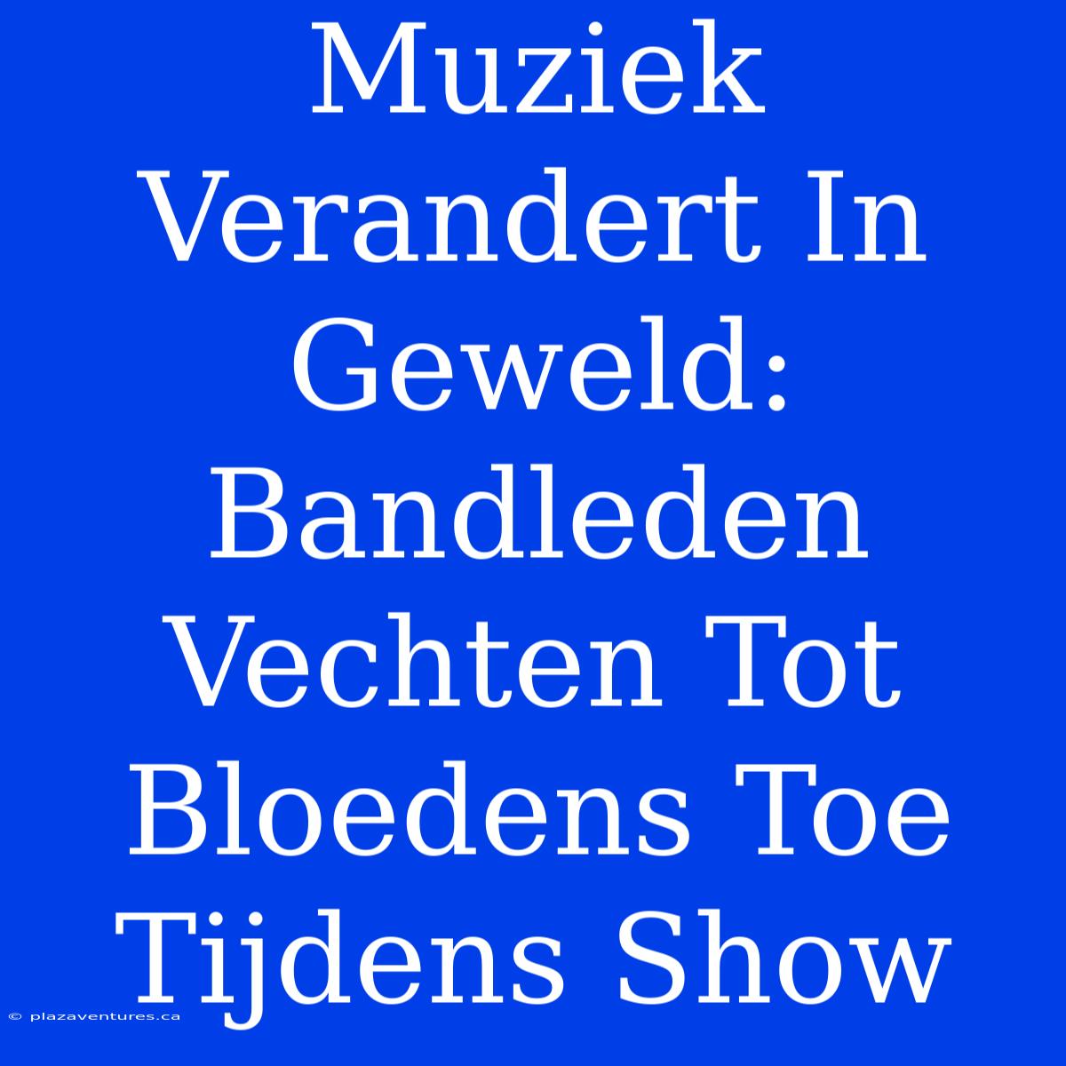 Muziek Verandert In Geweld: Bandleden Vechten Tot Bloedens Toe Tijdens Show