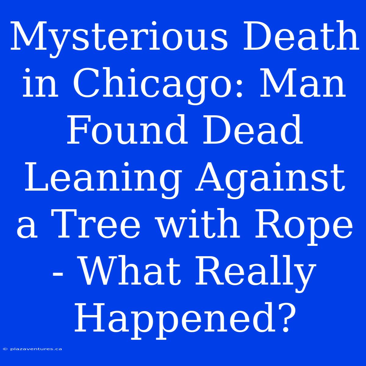 Mysterious Death In Chicago: Man Found Dead Leaning Against A Tree With Rope - What Really Happened?