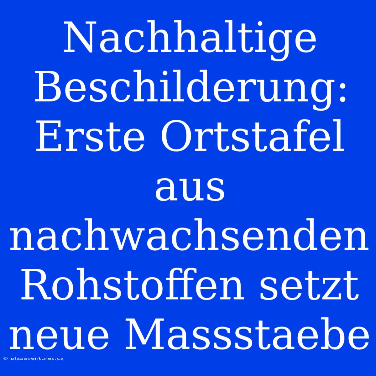 Nachhaltige Beschilderung:  Erste Ortstafel Aus Nachwachsenden Rohstoffen Setzt Neue Massstaebe