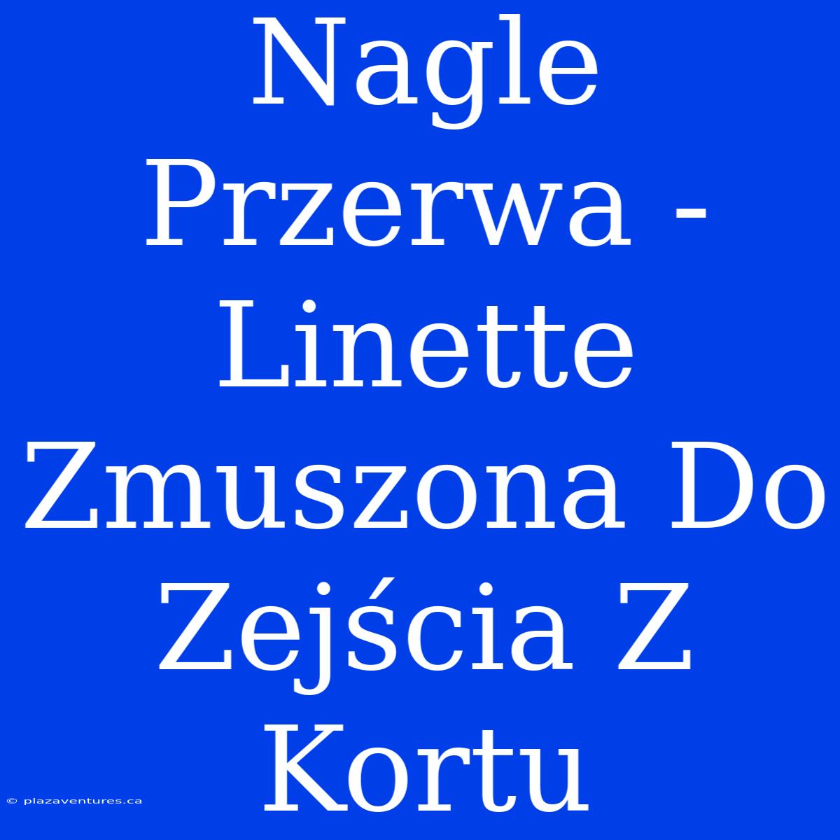 Nagle Przerwa - Linette Zmuszona Do Zejścia Z Kortu