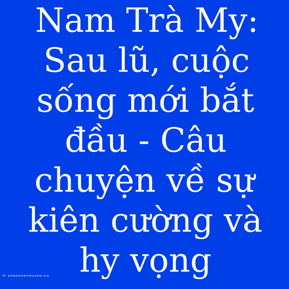 Nam Trà My: Sau Lũ, Cuộc Sống Mới Bắt Đầu - Câu Chuyện Về Sự Kiên Cường Và Hy Vọng