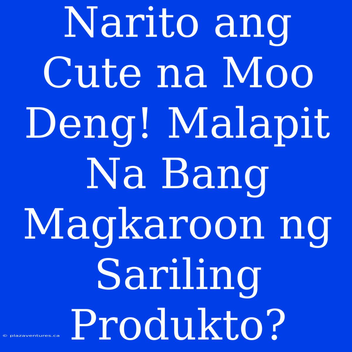 Narito Ang Cute Na Moo Deng! Malapit Na Bang Magkaroon Ng Sariling Produkto?