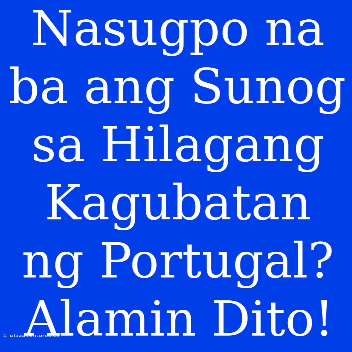 Nasugpo Na Ba Ang Sunog Sa Hilagang Kagubatan Ng Portugal? Alamin Dito!