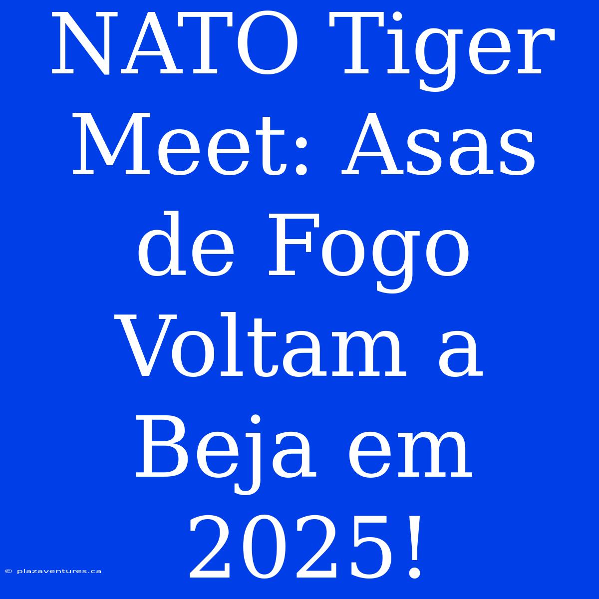 NATO Tiger Meet: Asas De Fogo Voltam A Beja Em 2025!