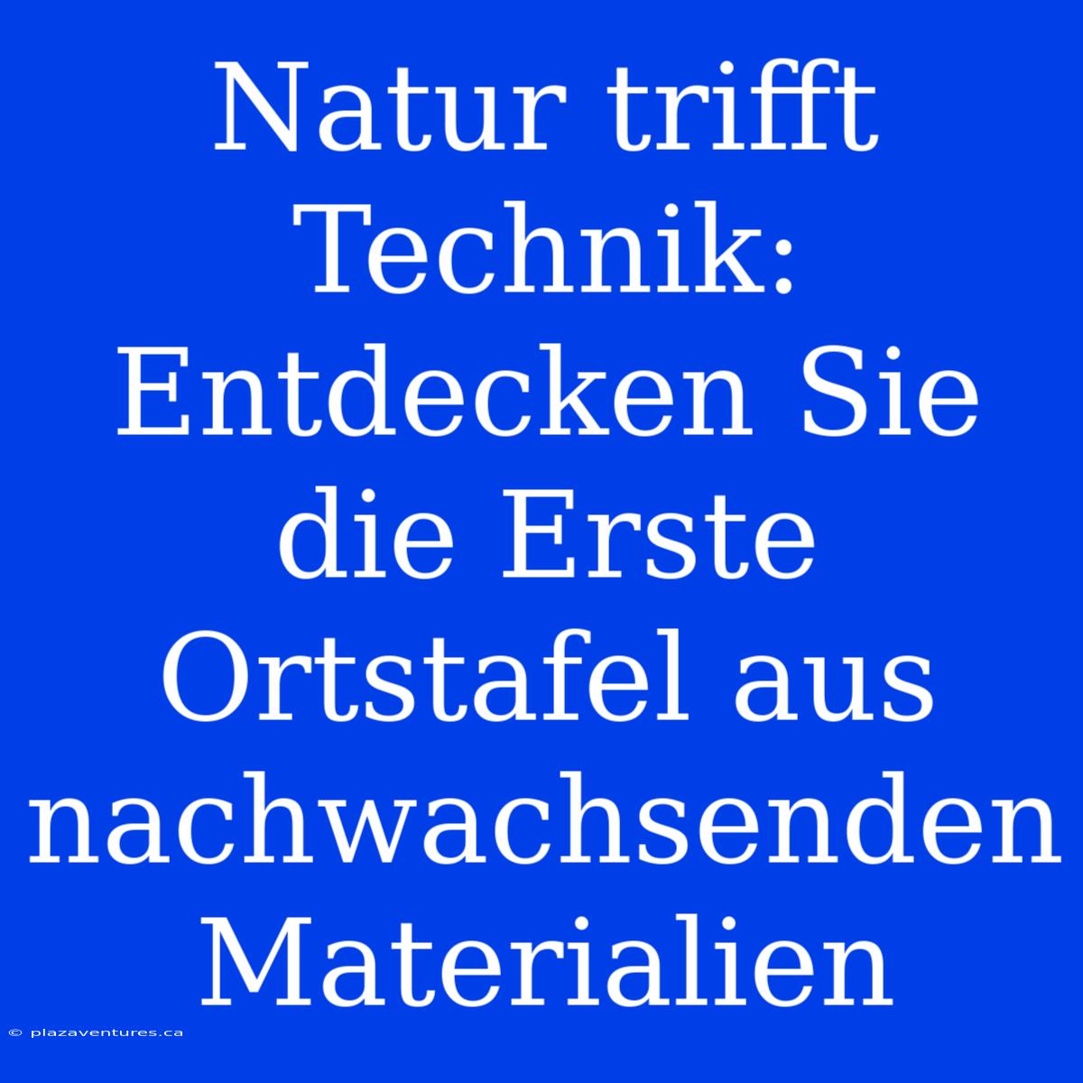 Natur Trifft Technik: Entdecken Sie Die Erste Ortstafel Aus Nachwachsenden Materialien