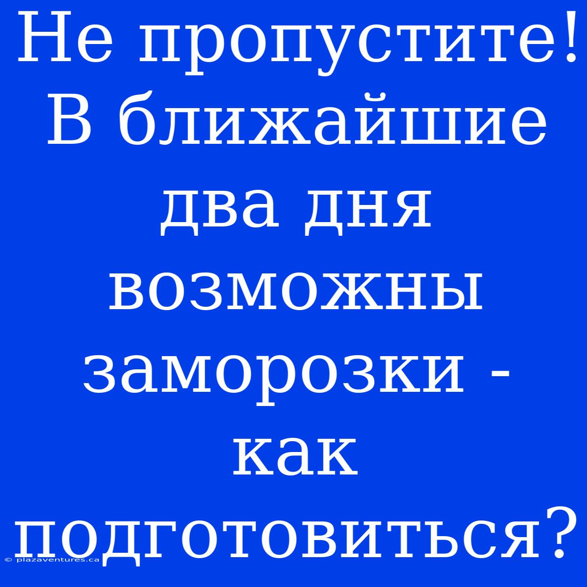 Не Пропустите! В Ближайшие Два Дня Возможны Заморозки - Как Подготовиться?