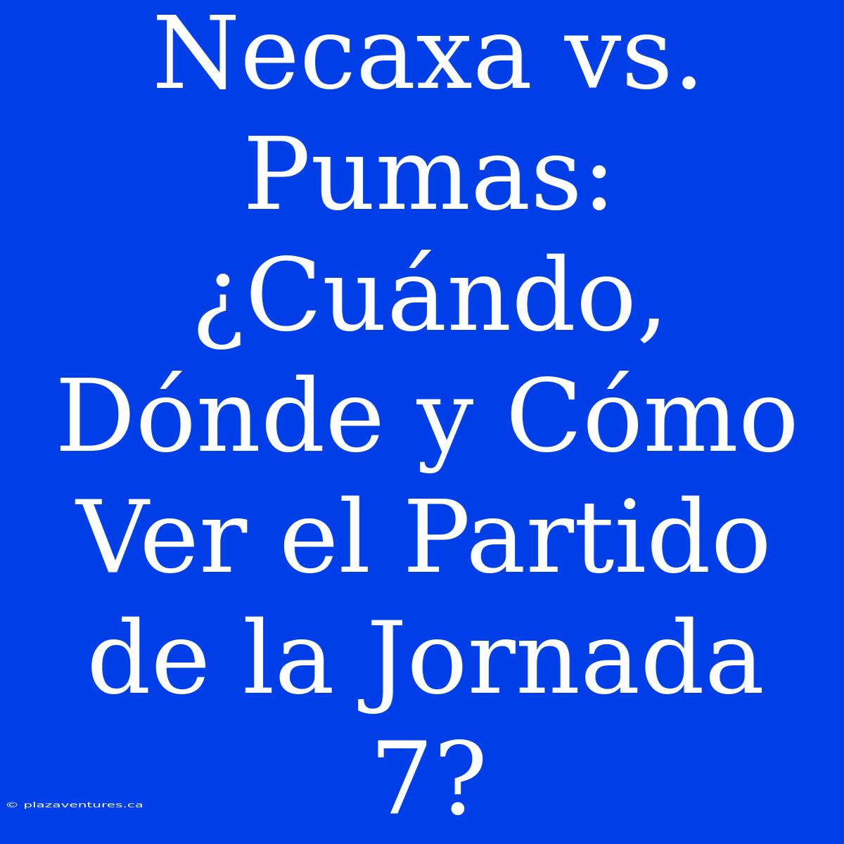 Necaxa Vs. Pumas: ¿Cuándo, Dónde Y Cómo Ver El Partido De La Jornada 7?