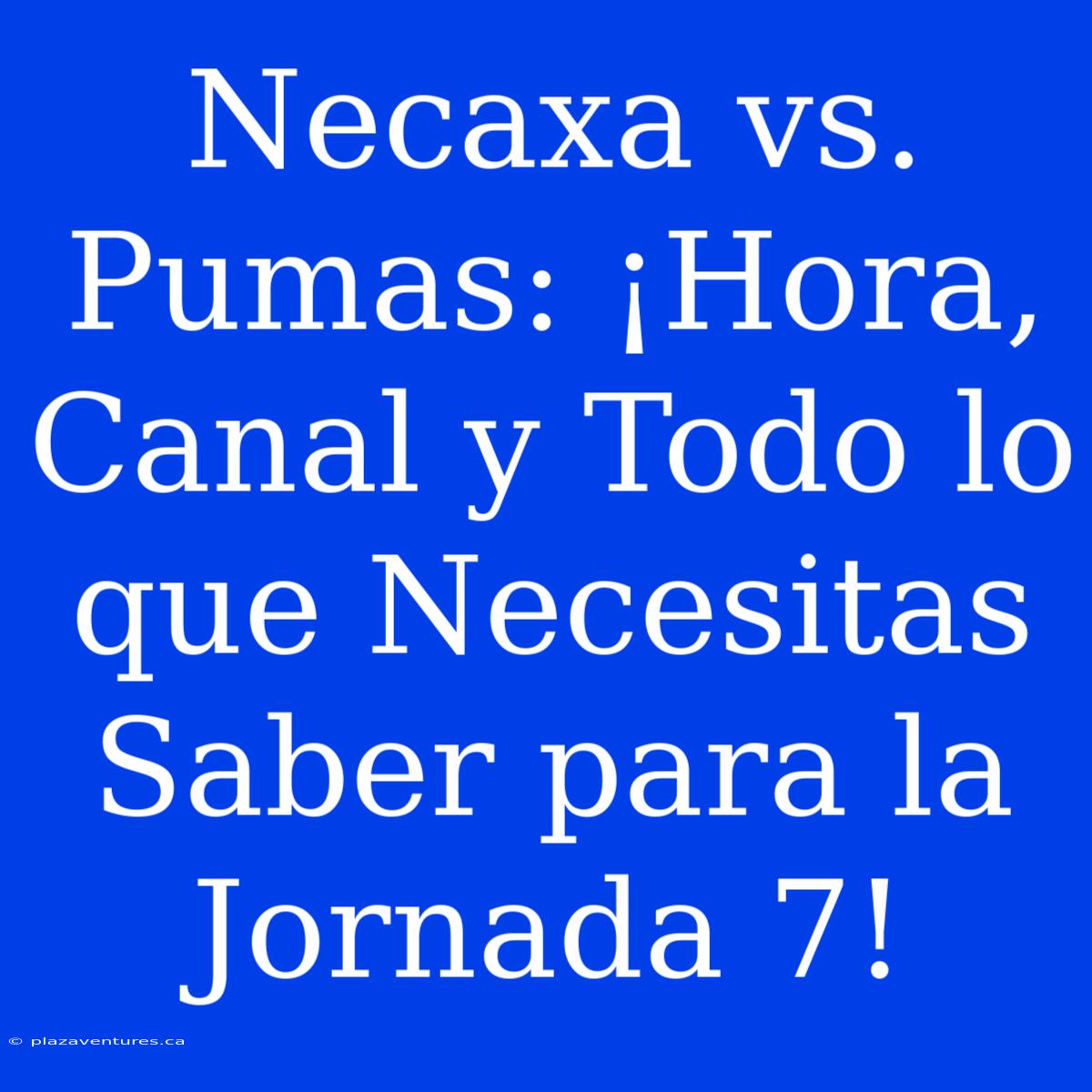 Necaxa Vs. Pumas: ¡Hora, Canal Y Todo Lo Que Necesitas Saber Para La Jornada 7!