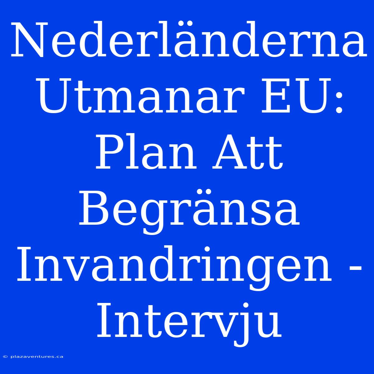 Nederländerna Utmanar EU: Plan Att Begränsa Invandringen - Intervju