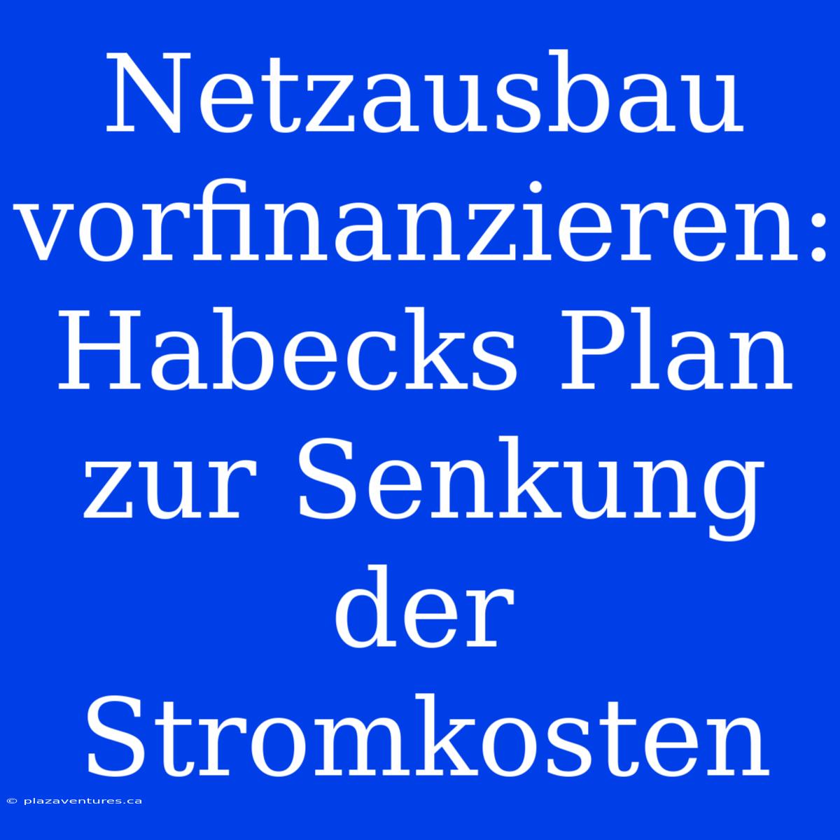 Netzausbau Vorfinanzieren: Habecks Plan Zur Senkung Der Stromkosten