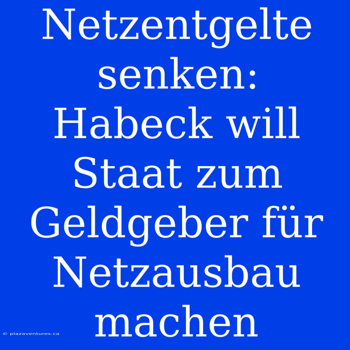 Netzentgelte Senken: Habeck Will Staat Zum Geldgeber Für Netzausbau Machen