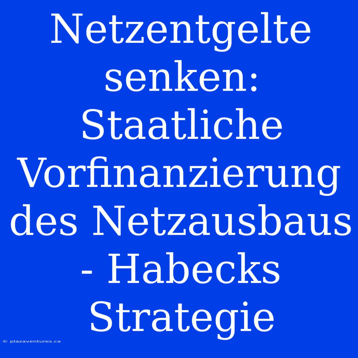 Netzentgelte Senken: Staatliche Vorfinanzierung Des Netzausbaus - Habecks Strategie