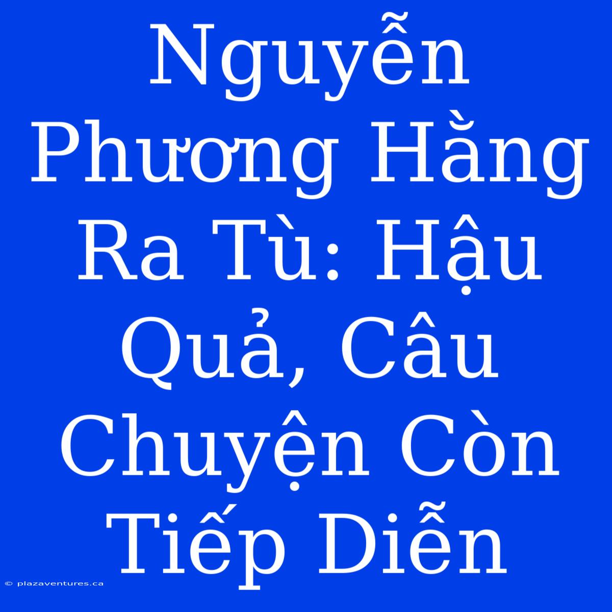 Nguyễn Phương Hằng Ra Tù: Hậu Quả, Câu Chuyện Còn Tiếp Diễn