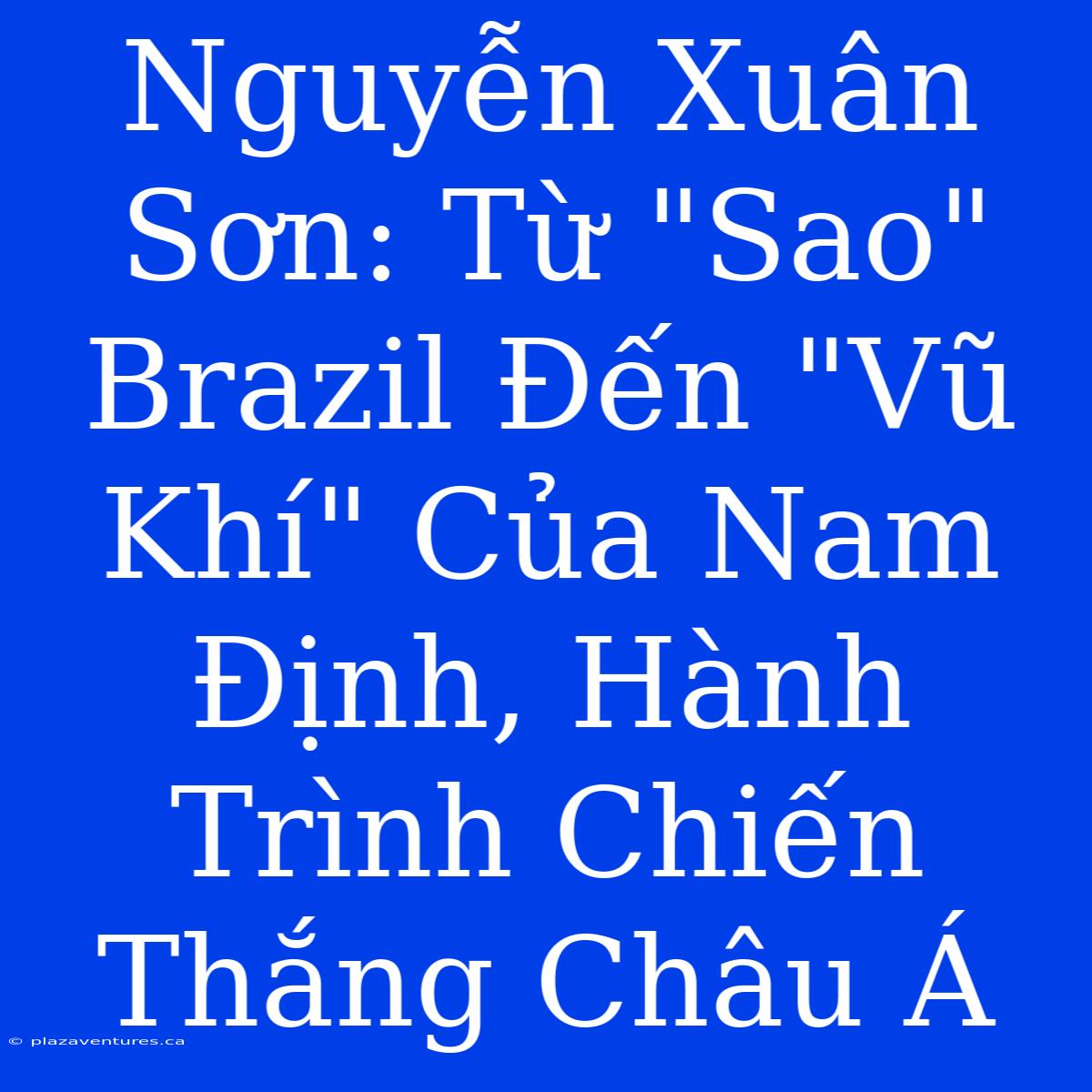 Nguyễn Xuân Sơn: Từ 