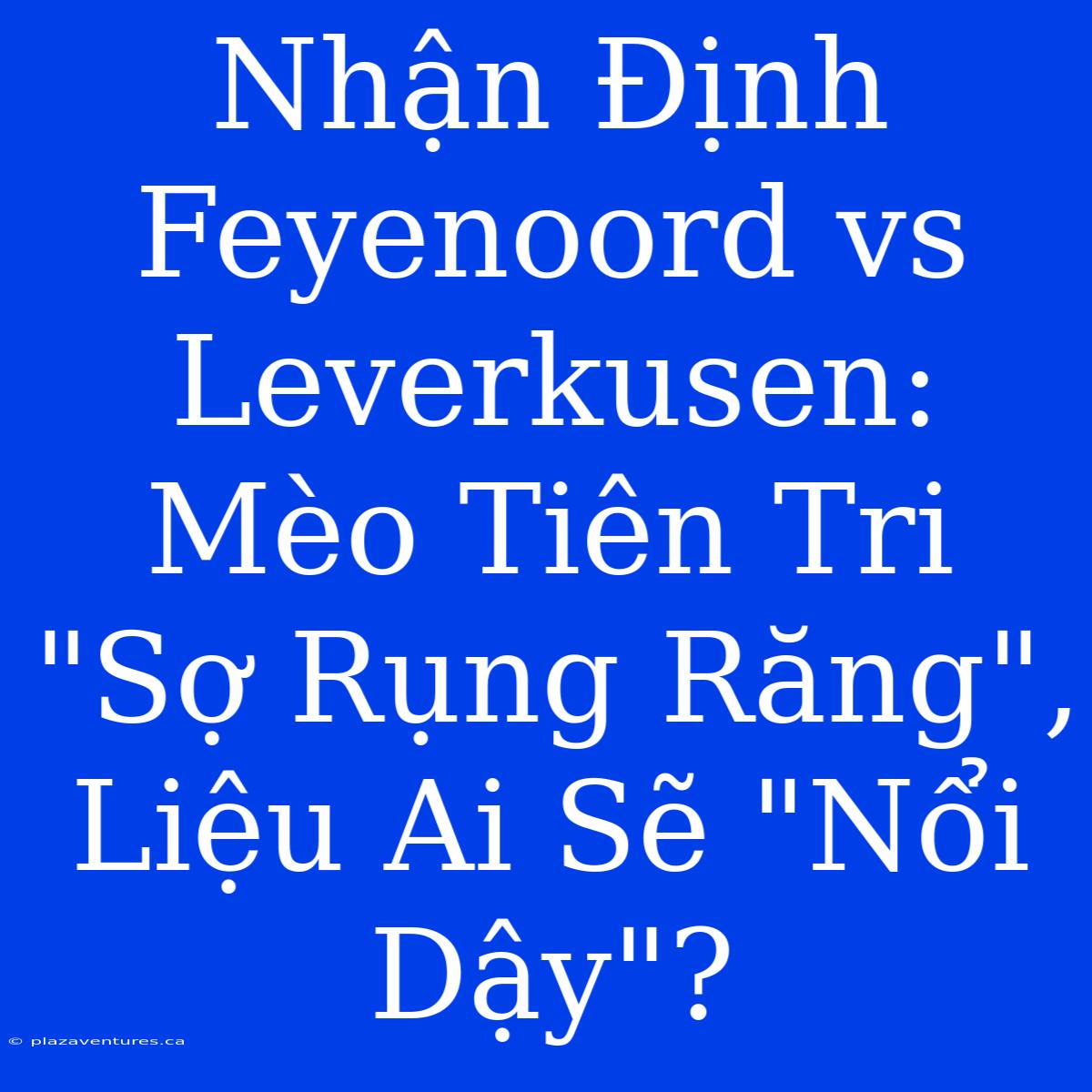 Nhận Định Feyenoord Vs Leverkusen: Mèo Tiên Tri 