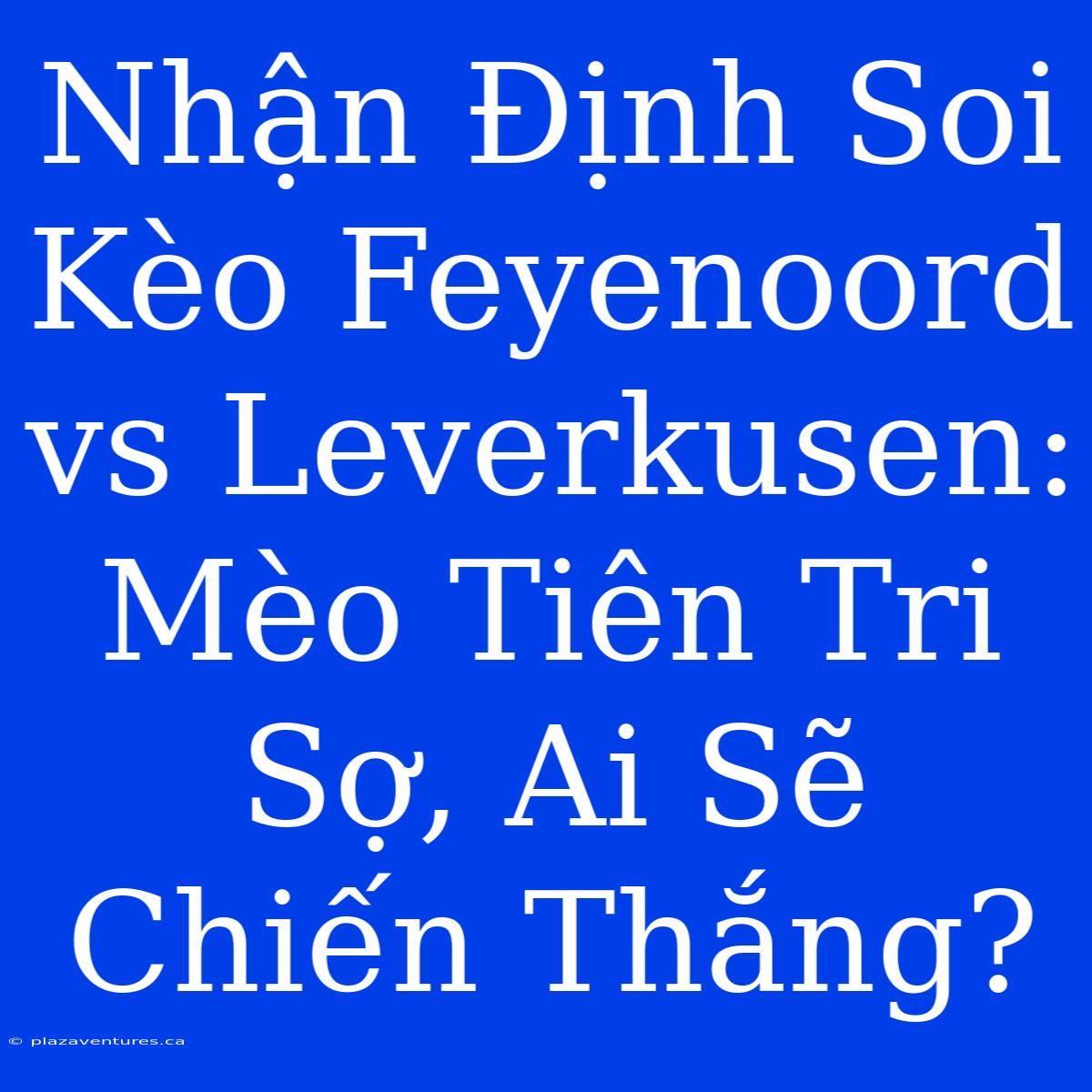 Nhận Định Soi Kèo Feyenoord Vs Leverkusen: Mèo Tiên Tri Sợ, Ai Sẽ Chiến Thắng?