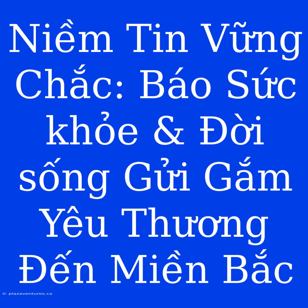 Niềm Tin Vững Chắc: Báo Sức Khỏe & Đời Sống Gửi Gắm Yêu Thương Đến Miền Bắc