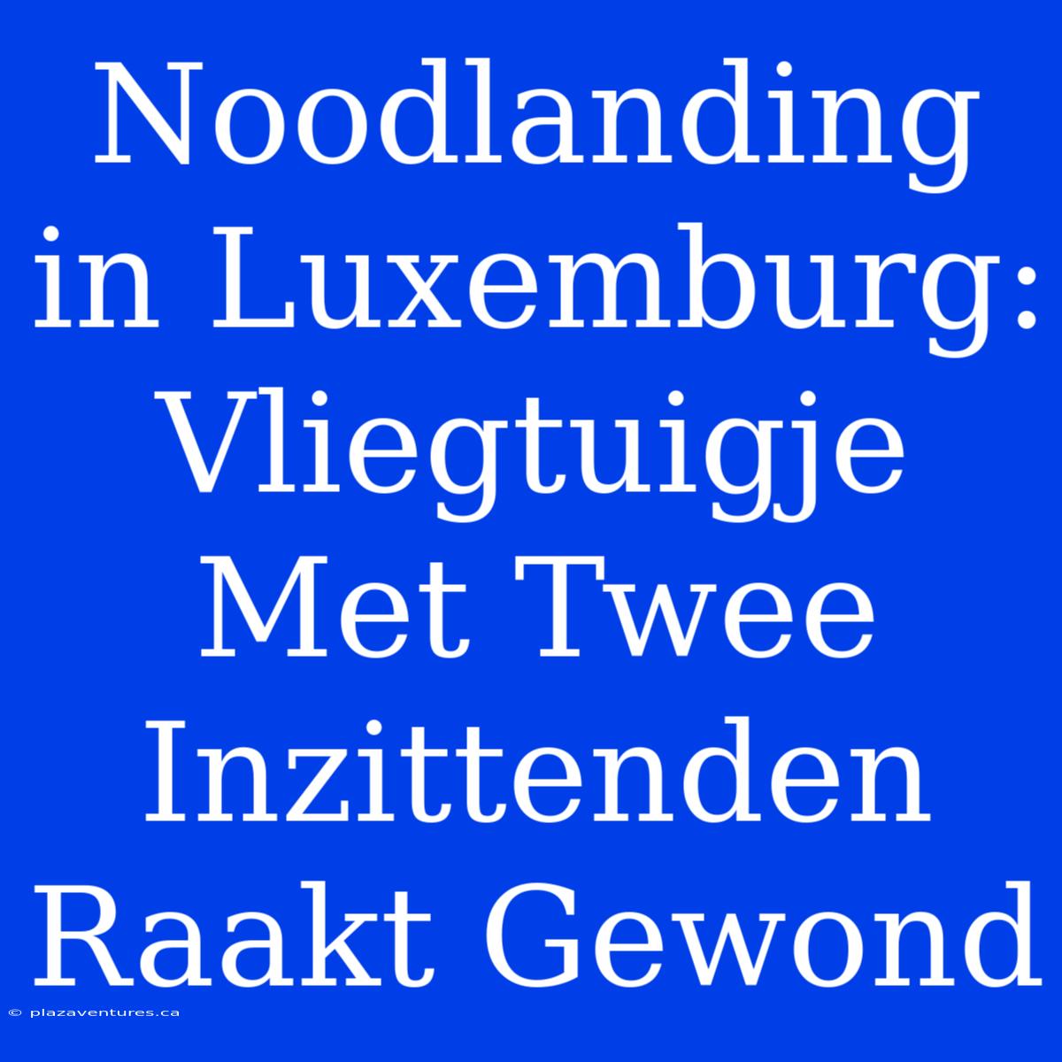 Noodlanding In Luxemburg: Vliegtuigje Met Twee Inzittenden Raakt Gewond